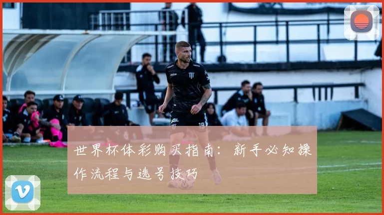 世界杯体彩购买指南：新手必知操作流程与选号技巧