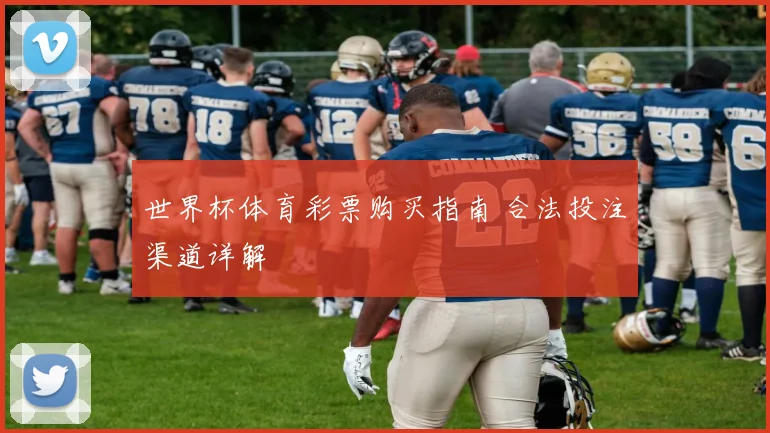 世界杯体育彩票购买指南 合法投注渠道详解