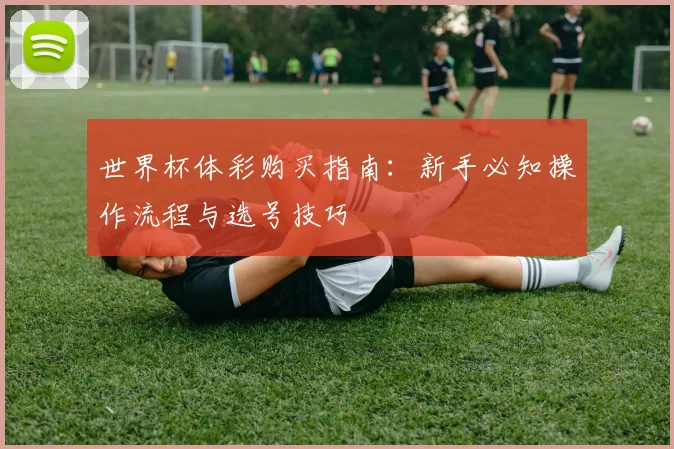 世界杯体彩购买指南：新手必知操作流程与选号技巧